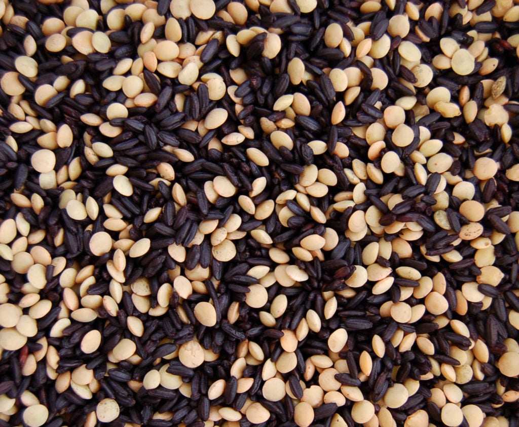 Whole_Food_Plant_Based_Black_Rice_and_Lentils_up_close