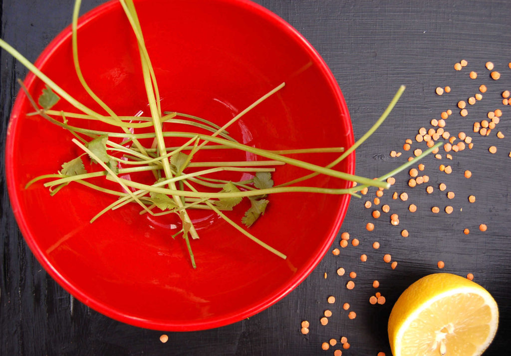 whole_food_plant_based_spiced_red_lentils_cilantro_stems