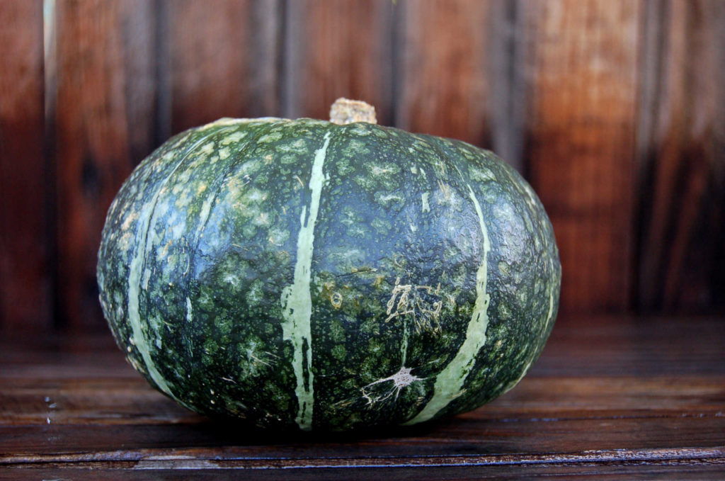 whole_food_plant_based Kabocha_squash_whole_side