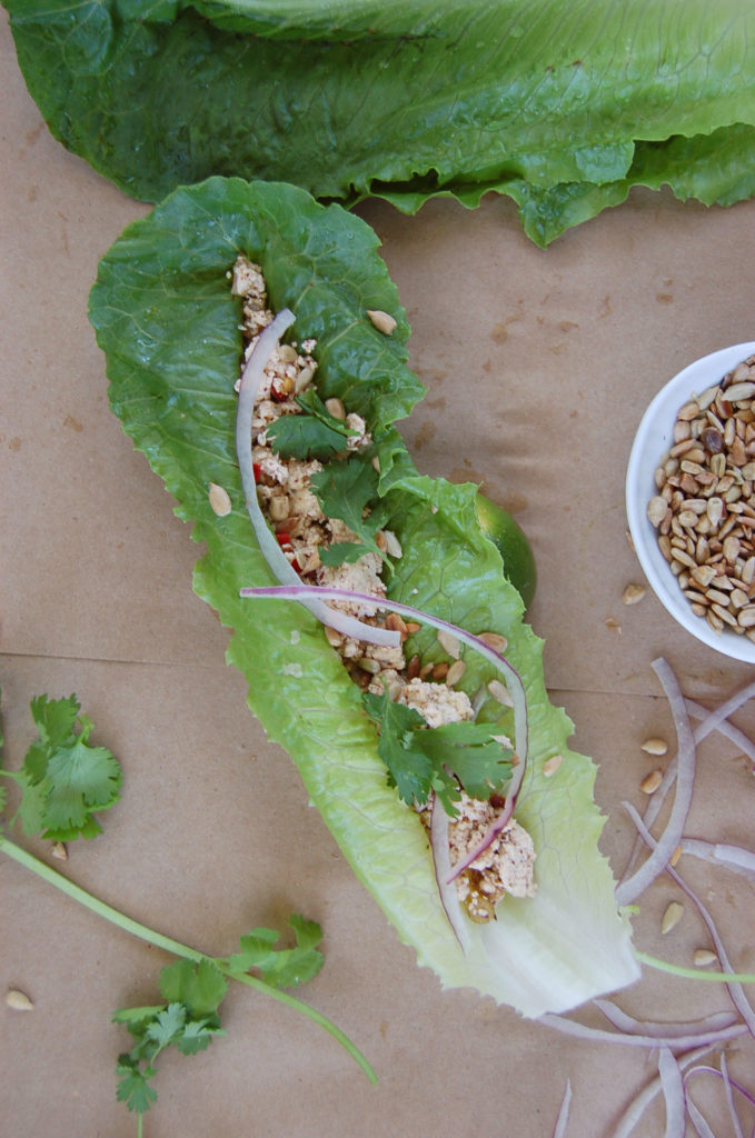 larb_romaine_onion_cilantro