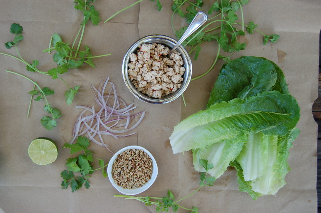 larb_ingredients_no_cloth