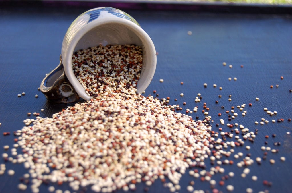 quinoa Spilling