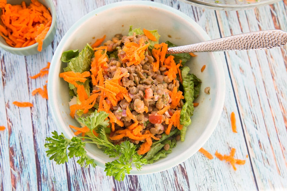 8_whole_food_plant_based_lemony_lentil_salad_ingredients_top_shot