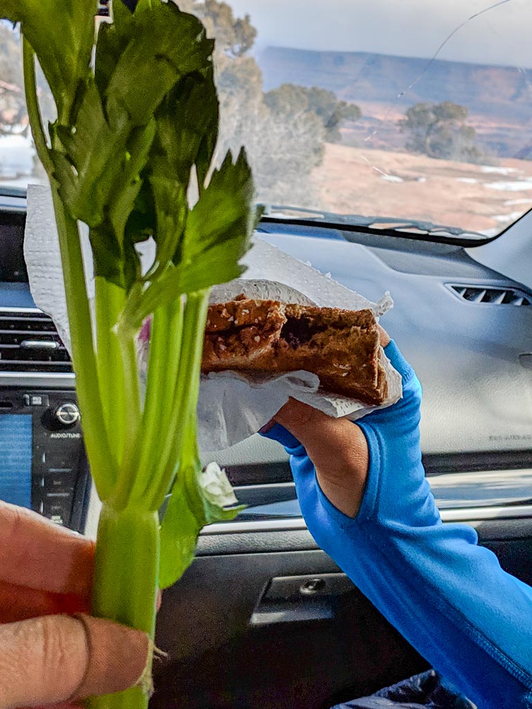 In-the-car snapshot of a leafy piece of celery and Molly's scrumptious nut butter and blackberry sandwich.