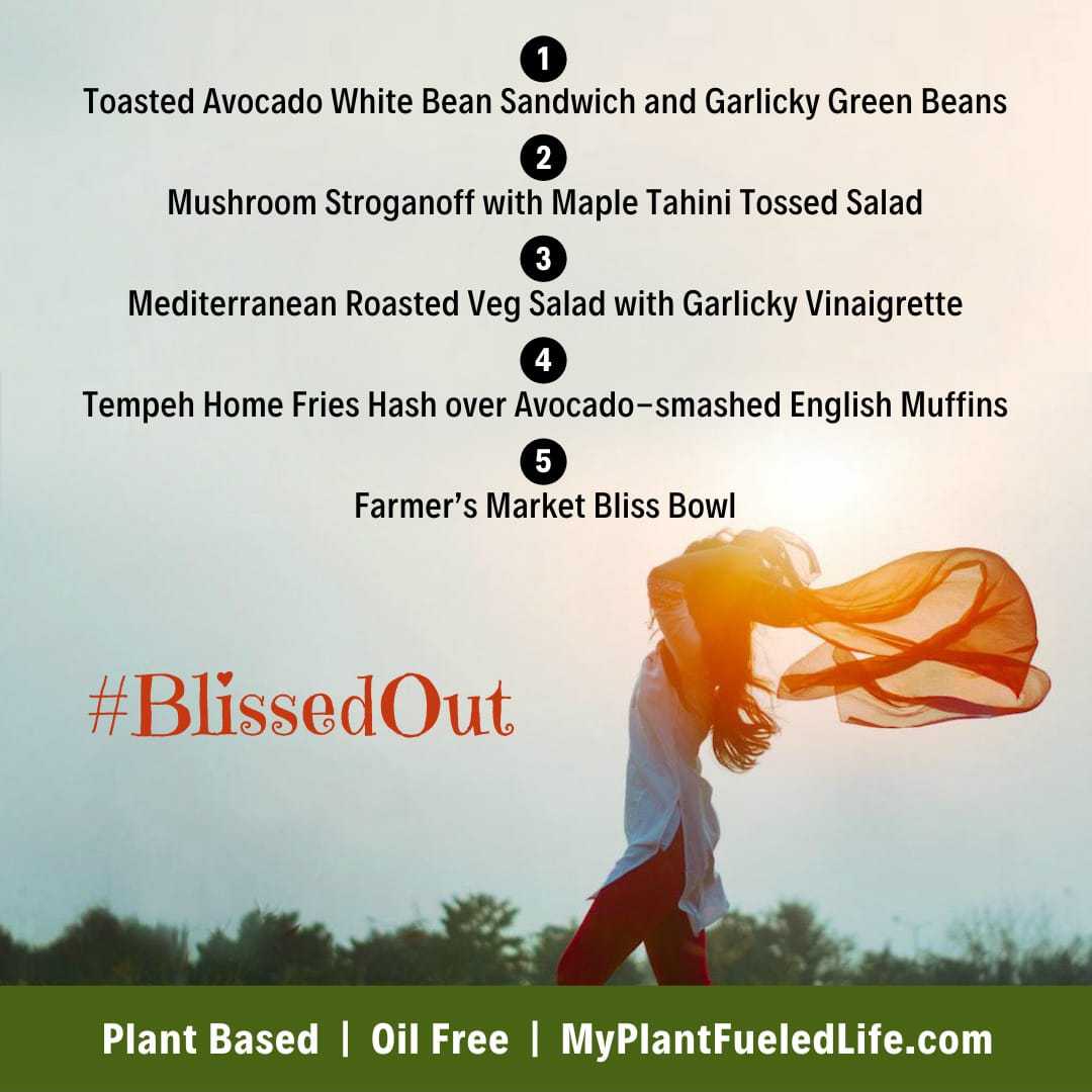 whole food plant based meal plan blissed out