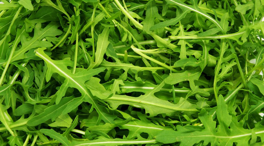 How to cook, store and prepare arugula