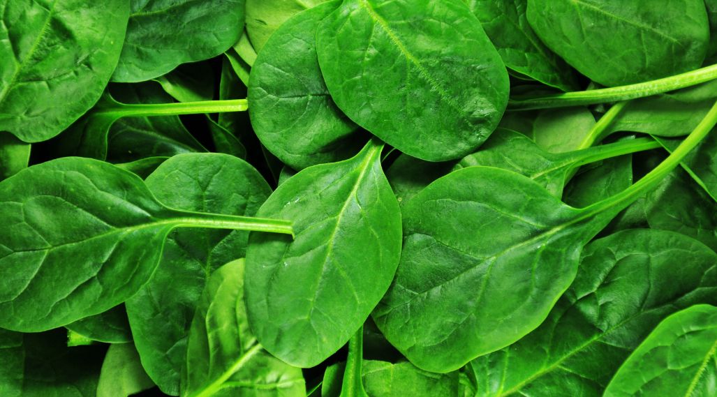 Ways to use spinach