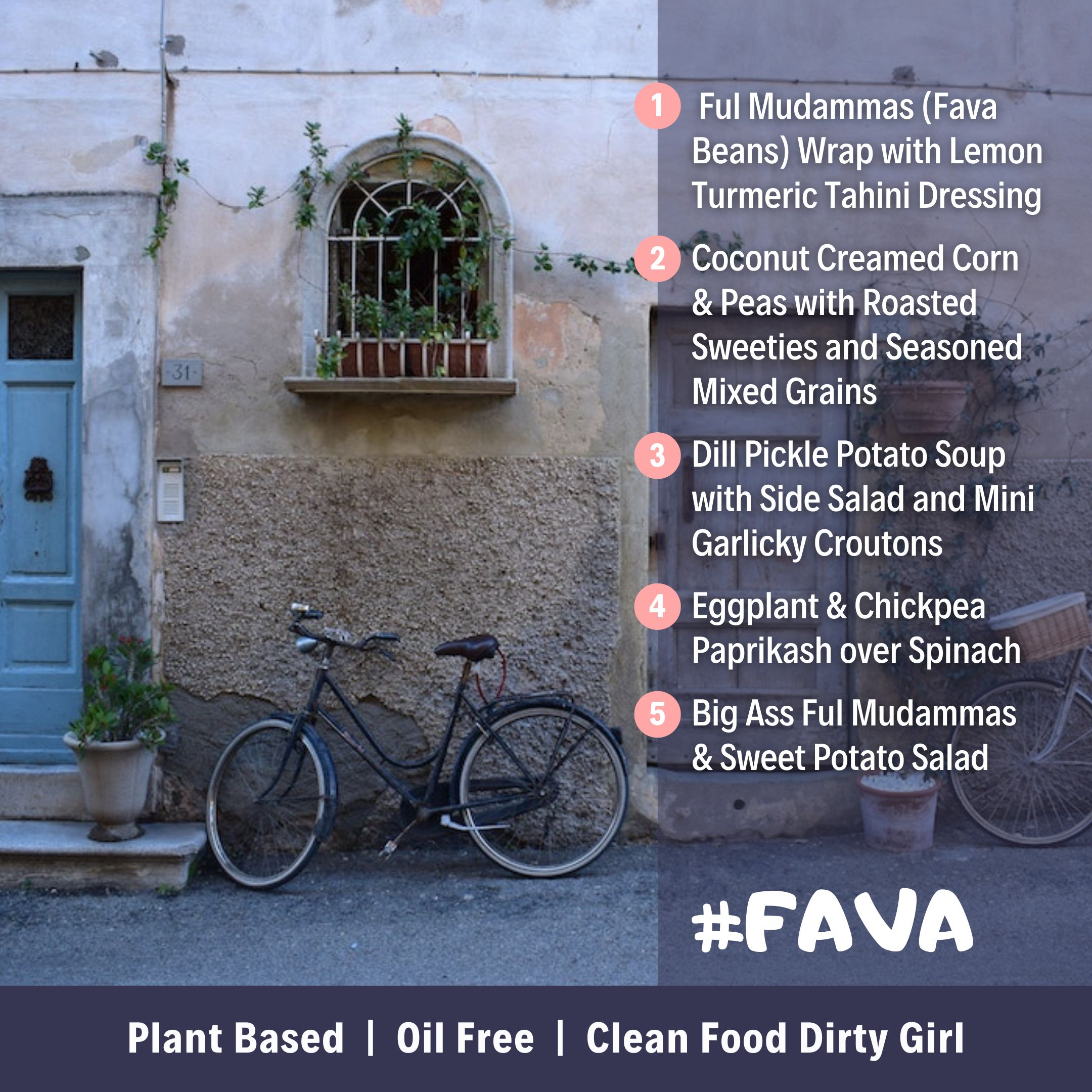 Fava Plant Based Meal Plan