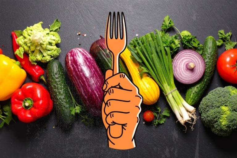 What Happened to the Forks Over Knives Meal Planner?