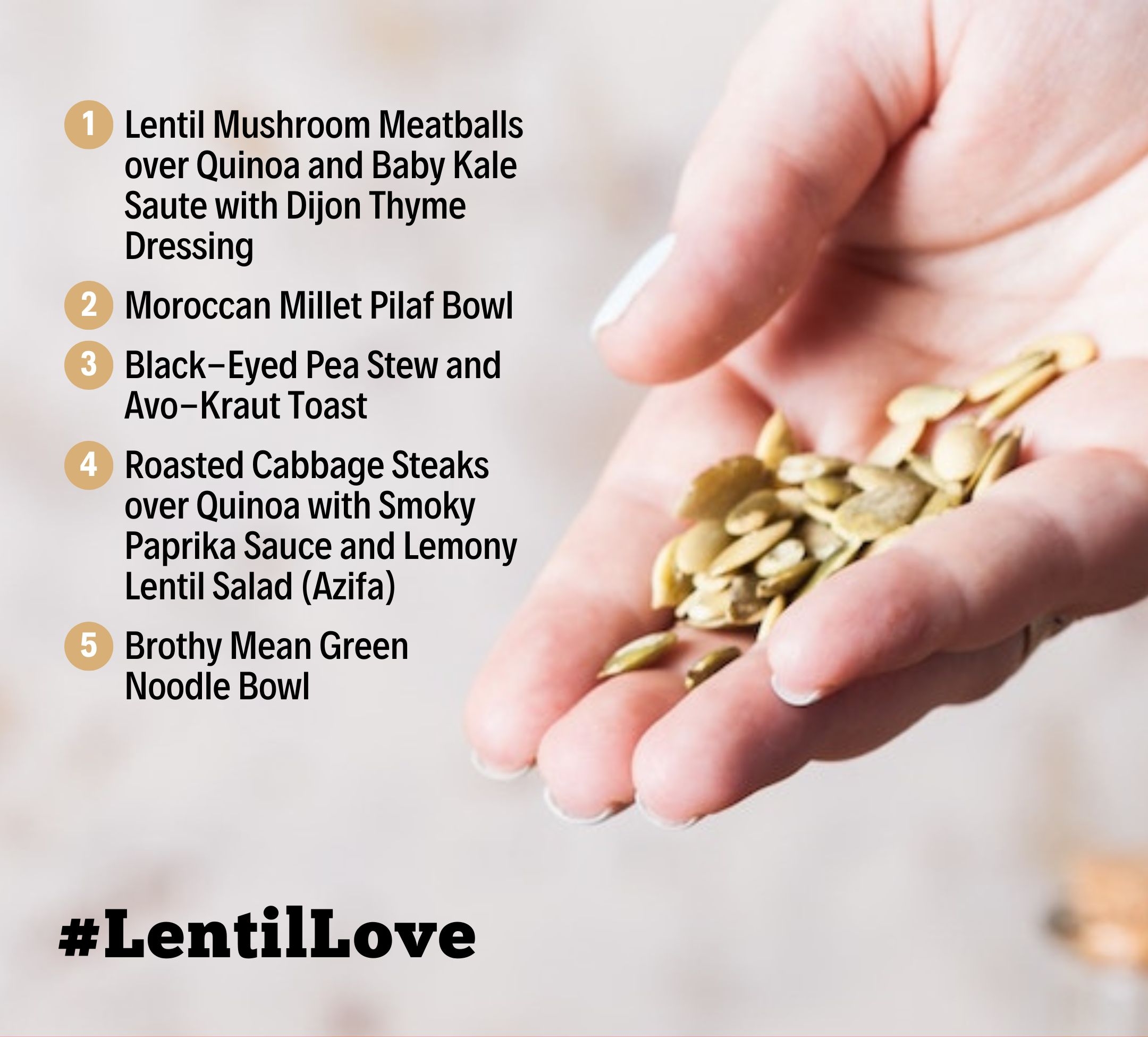 Lentil Love Plant Based meal plan gourmet menu