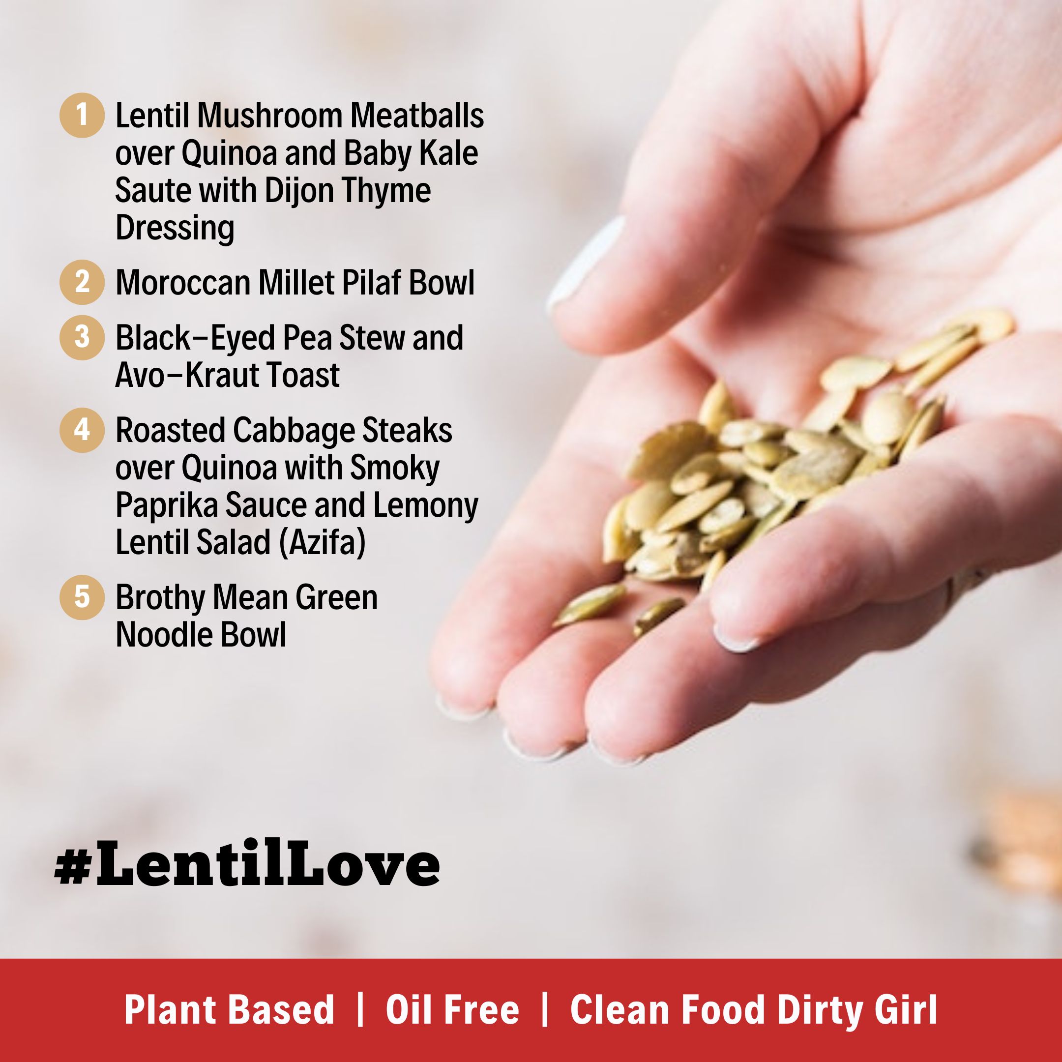 Lentil Love Plant Based meal plan gourmet menu