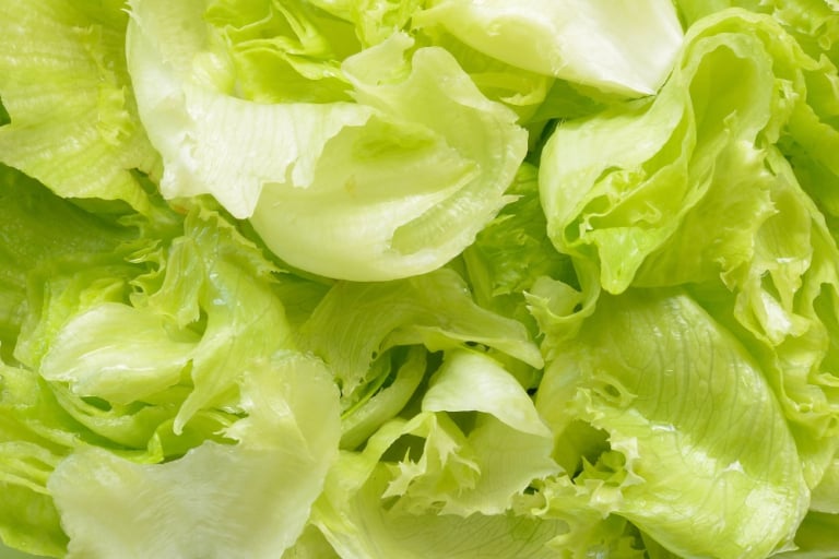 Eating Plants During the Cyclospora Outbreak